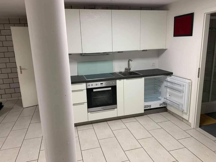 Basel - 5 Mins Away - Modern Basement Studio With Kitchen 35M2 In Muttenz Zewnętrze zdjęcie