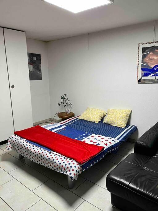 Basel - 5 Mins Away - Modern Basement Studio With Kitchen 35M2 In Muttenz Zewnętrze zdjęcie