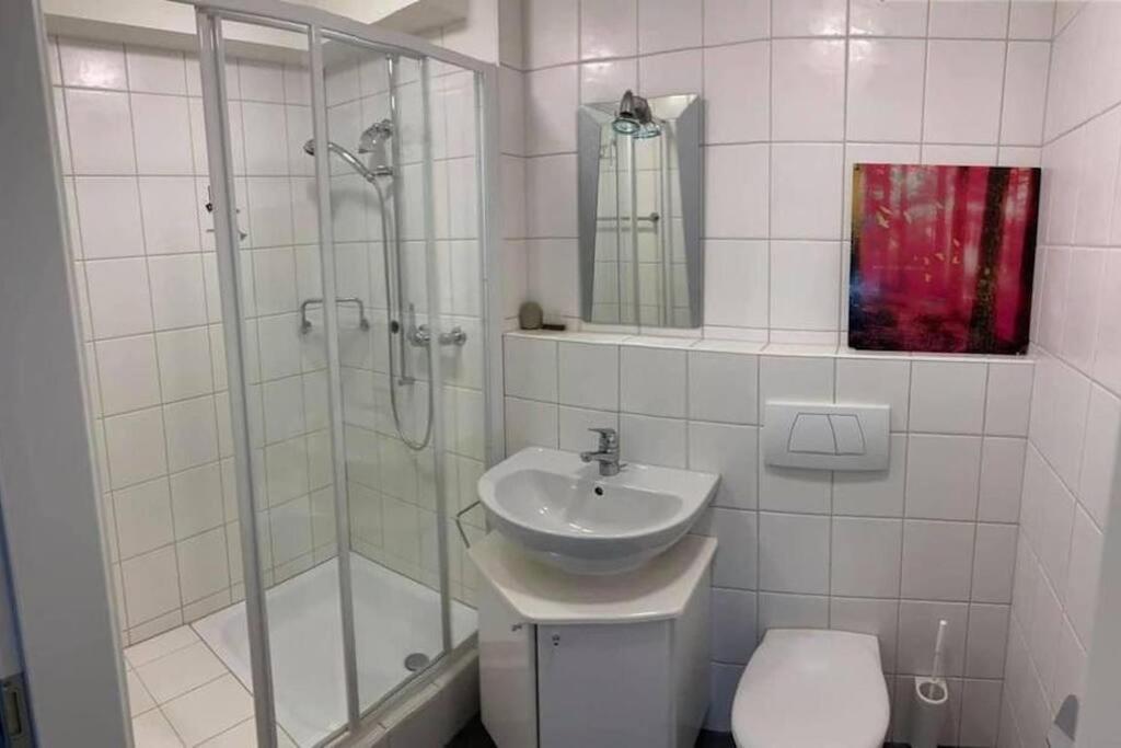 Basel - 5 Mins Away - Modern Basement Studio With Kitchen 35M2 In Muttenz Zewnętrze zdjęcie