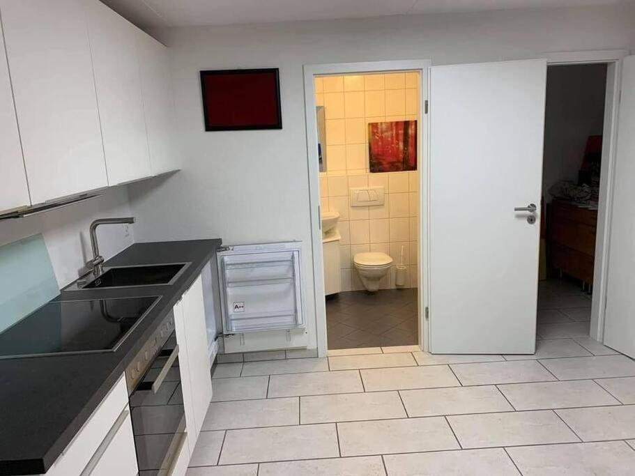 Basel - 5 Mins Away - Modern Basement Studio With Kitchen 35M2 In Muttenz Zewnętrze zdjęcie