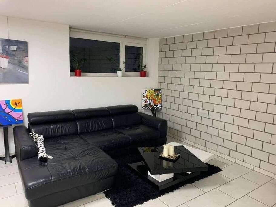 Basel - 5 Mins Away - Modern Basement Studio With Kitchen 35M2 In Muttenz Zewnętrze zdjęcie